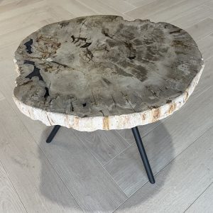 Versteend hout salontafel