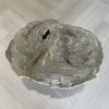 Versteend hout salontafel