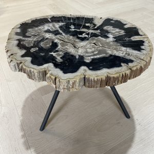 salontafel versteend hout