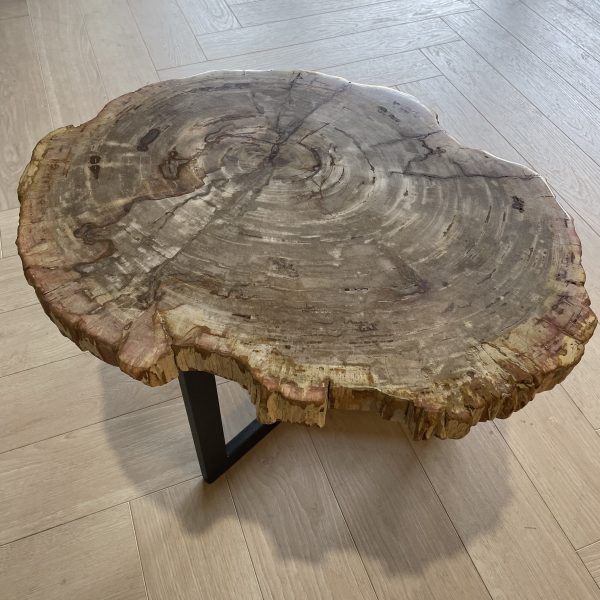 Versteend hout salontafel