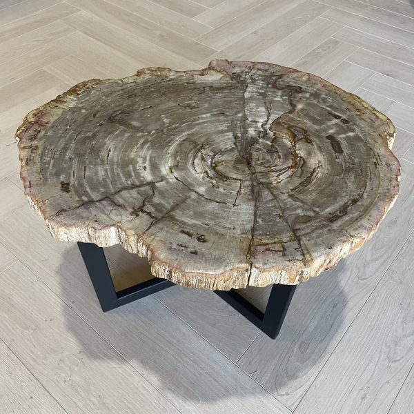 Versteend hout salontafel