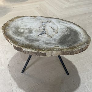 salontafel versteend hout