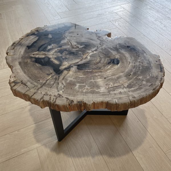 Versteend hout salontafel