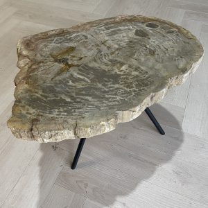 Versteend hout salontafel