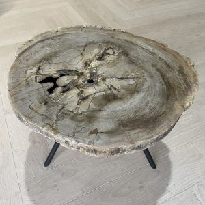 salontafel versteend hout