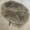 salontafel versteend hout