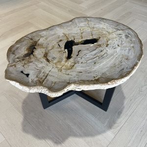 Versteend hout salontafel